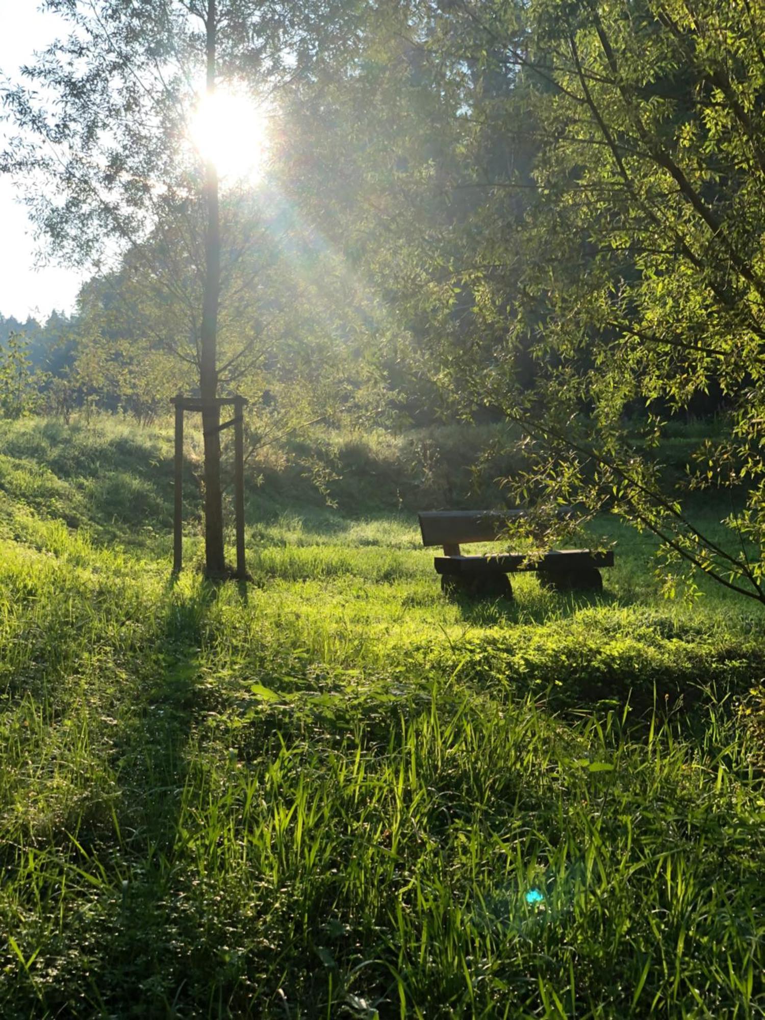 Waldhotel Linzmuehle Кала Экстерьер фото