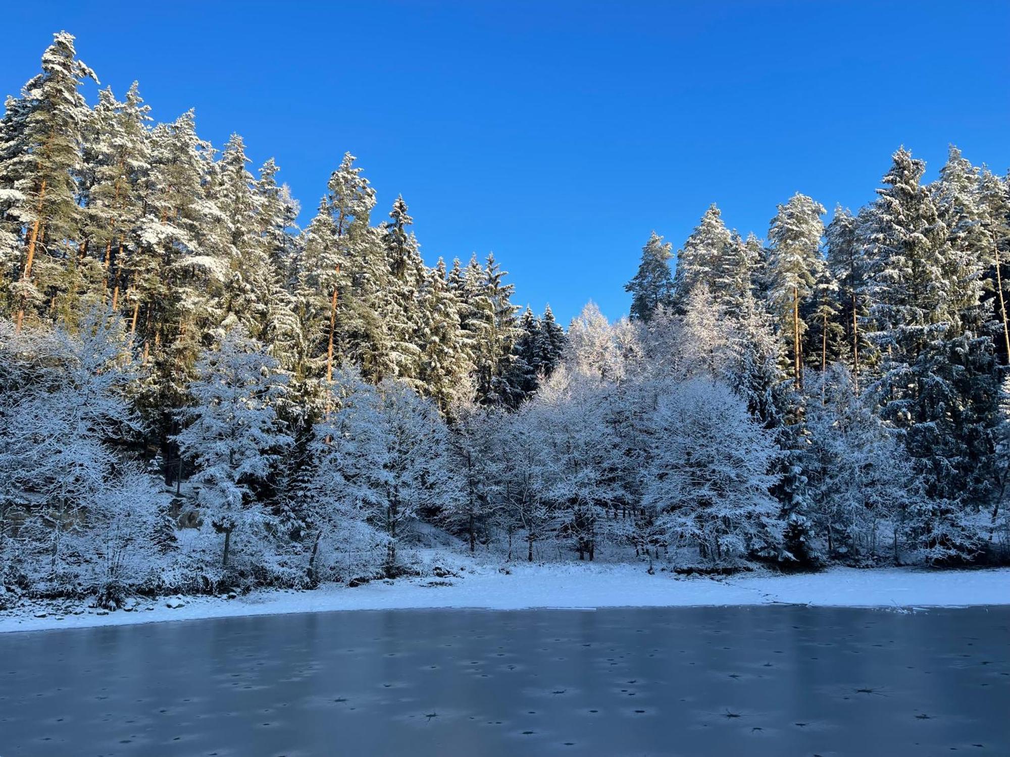 Waldhotel Linzmuehle Кала Экстерьер фото