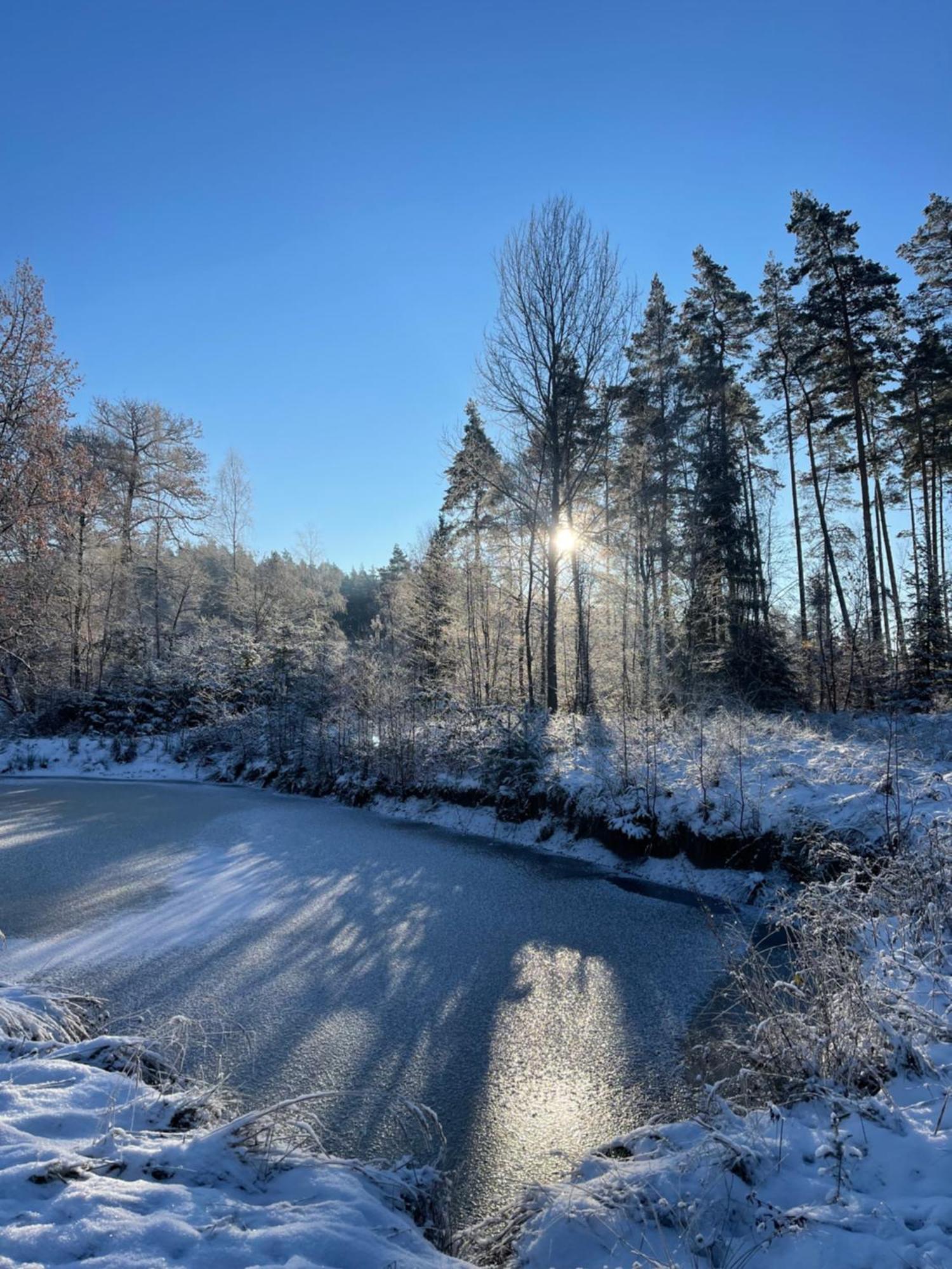 Waldhotel Linzmuehle Кала Экстерьер фото