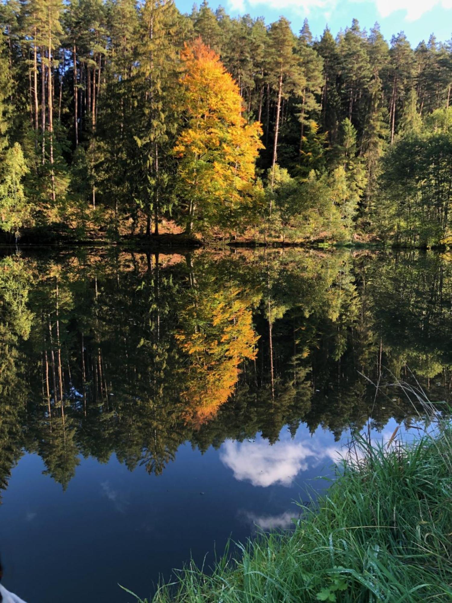 Waldhotel Linzmuehle Кала Экстерьер фото